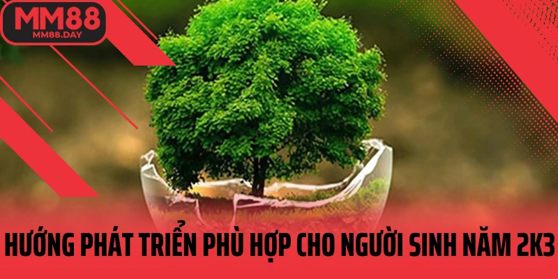 huong-phat-trien-phu-hop-cho-nguoi-sinh-nam-2k3-menh-moc